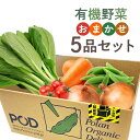 有機野菜セット おまかせ5品送料無料【主婦の味方】店舗からの直送旬の野菜・健康野菜・こだわり野菜