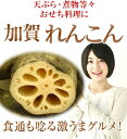 商品画像：近鉄百貨店の人気おせち楽天、《予約》【加賀伝統野菜】加賀レンコン約300gパック【天ぷら・煮物等々】【おせち料理に】