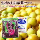 予約商品【梅セット】生梅2kg＋ 国産赤しそ500g（もみ紫蘇生梅2kg用1袋）＋伯方の塩1袋　うめセット　梅干し作り　紅映もしくは木成り完熟梅生梅は時期により変動します 。南高梅　三方梅　河野梅　福井梅　青梅　完熟梅　手作りセット