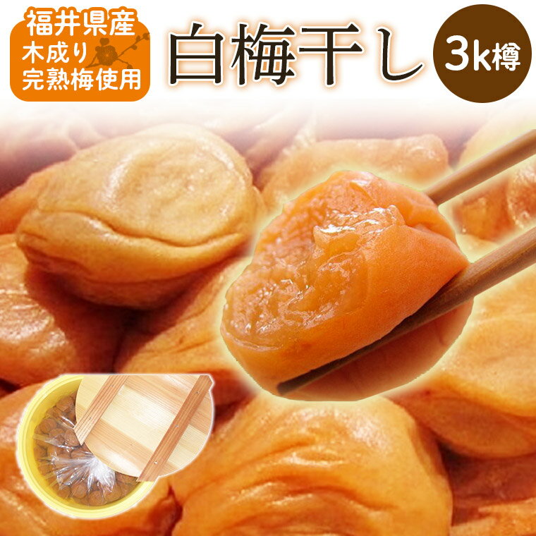 予約　福井県産【白梅干し】【黄金梅】約3K樽新平太夫梅のサムネイル