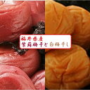 ؐ芮n~gpy~zyЂ300g{300gz2ޓˑ