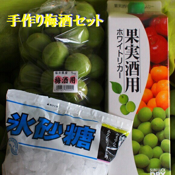 ★【梅セット】ふくい宝石箱【3】健康長寿を願う 梅酒手作りセット期間限定予約商品 福井手作り梅酒セット 福井梅約1K ホワイトリカー 氷砂糖 南高梅・青梅・生梅・完熟梅・父の日6月上旬ころか…