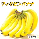 フィリピンバナナ 大2房入り【南国の夏】のトロピカルフルーツが届きました!ご家庭用 パーティ−に 運動 差し入れ 送料無料