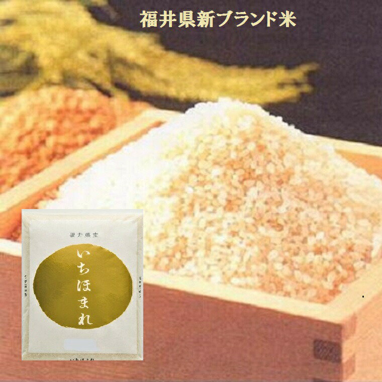 福井のお米特別栽培米【いちほまれ】5K袋白米・新米・ブランド米⇒送料無料