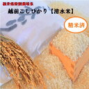 福井コシヒカリ【清水米 精米 】1K袋・2K袋・5K袋・10K袋 福井の美味しいお米【特別栽培米】送料無料 越前こしひかり【新米】は例年9月末からのお届けです。...