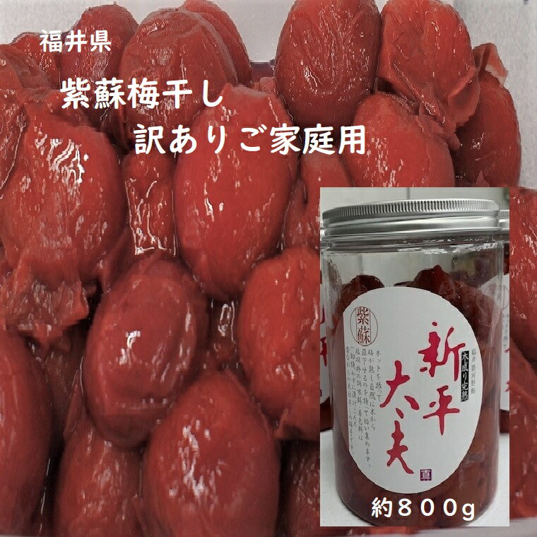 ★B級 訳あり梅干し しそ梅干し 約800g入り 塩17~20％ ご家庭用 福井県産 えちぜん 越前 福井 うめぼし 梅 木成り完熟梅 使用 昔ながらの酸っぱい梅干し 規格外品 不揃い つぶれ梅