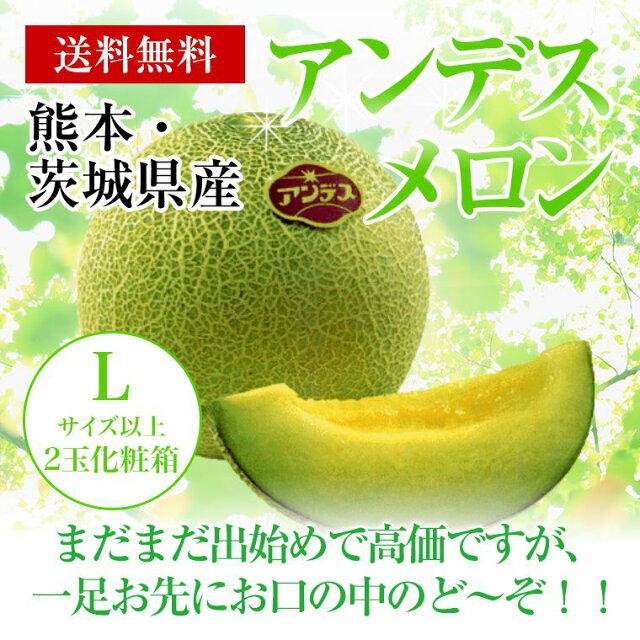 熊本・茨城県産アンデスメロン　Lサイズ以上　2玉化粧箱【送料無料】是非プレゼントに！！【母の日対応】【父の日対応】