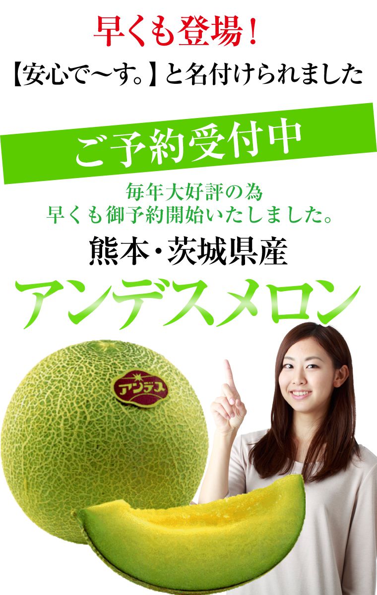 熊本・茨城・福井県産アンデスメロン他青肉メロンLサイズ以上1個化粧箱入りプレゼントに最適！！ラッピング付き！旬の時期に旬の産地からお届けいたします。