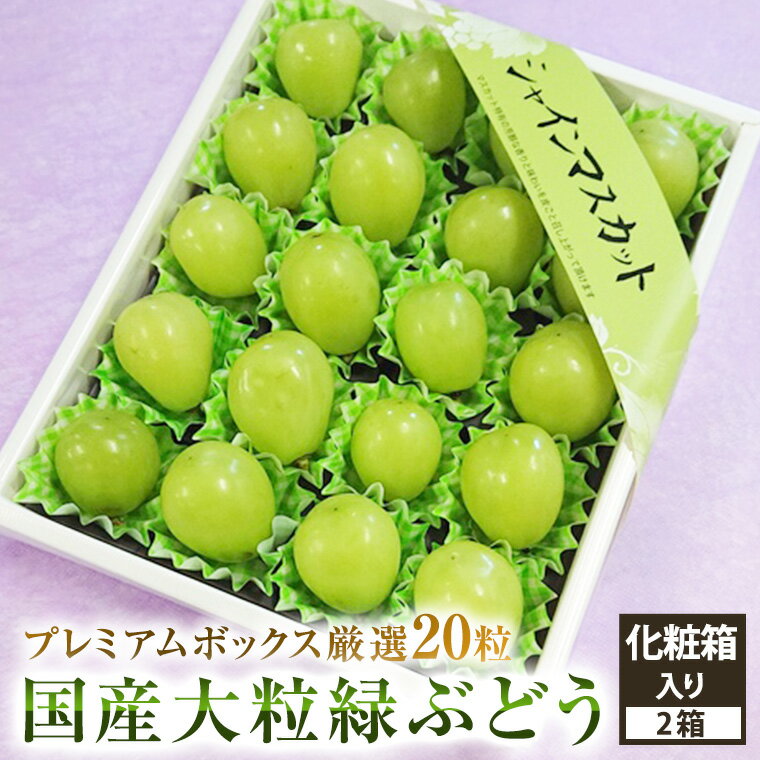 まるで宝石箱❣フル−ツギフト　国産大粒葡萄　送料無料　シャインマスカット　フル-ツジュエリ-ボックス【最高級葡萄特大20粒化粧箱】×2段ぶどうギフト・フル−ツセット・お中元・お盆・お祝い・ 御礼・ 誕生日・プレゼント・ 贈り物・ 結婚祝・ 内祝・手土産等々