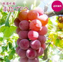 【送料無料】国産大粒ぶどう 赤色ブドウ秀品化粧箱 大1房 大2房 大3房厳選産地から カイジ クインルージュ クイン二-ナ等の中からおまかせ希少で話題沸騰の赤いぶどうです。赤色葡萄 赤葡萄 贈答 御祝い 敬老の日 御供え等