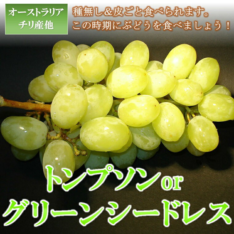 トンプソングリーンシードレス