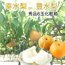 和梨 秀大玉6玉化粧箱入り 福井・石川・長野県産【幸水梨】又は【豊水梨】果物ギフト 旬のフル-ツギフト 送料無料 和梨 なし ナシ 8月中旬お盆過ぎから発送予定 9月上旬すぎごろから豊水梨