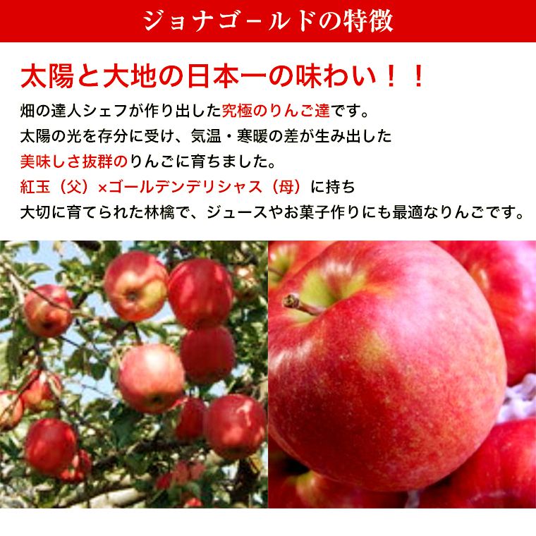 青森・長野林檎　ジョナゴ−ルド約10K箱⇒送料無料