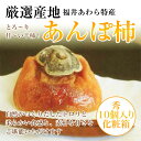 【冬ギフト】福井あわら特産あんぽ柿【越の甘柿】(秀10個入り化粧箱)【送料無料】