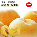 山梨県産最高級【黄金桃】【黄美姫】秀品5~7玉化粧箱送料無料・ク-ル便果肉は柔らかくトロッとして香りと共にまさにマンゴーピーチです。お中元・お盆・お供え