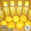 ★紀州特産・レモン果汁【100％果汁】一本120ml×5本