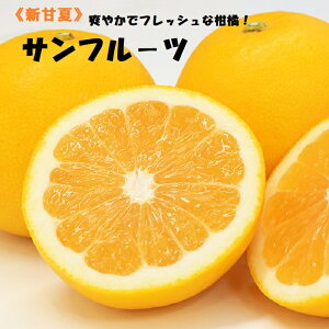 熊本・愛媛・和歌山県産【サンフル−ツ】約3K箱送料無料みかん・ミカン・新甘夏4月初旬予定です