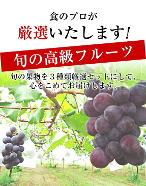 ★食の宝石箱【A】特選果物ギフト8個化粧箱お手土産・お供えにも最適！《果物 詰め合わせ》《フルーツ 盛り合わせ 》多種ギフトに最適！【御中元・御歳暮！お祝い！】 敬老の日