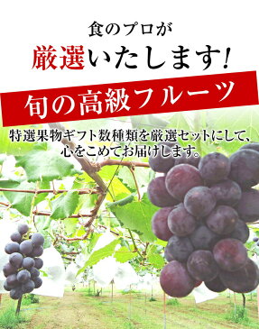 【送料無料・ク−ル便】食の宝石箱【F】フルーツバスケット高評価！《果物 詰め合わせ》可愛い手提げ箱に入っています。お祝 プレゼント 手土産 出産祝 お返し 内祝 誕生日 お供え お礼 快気祝 粗品 季節の果物 フルーツ盛合わせ果物セット