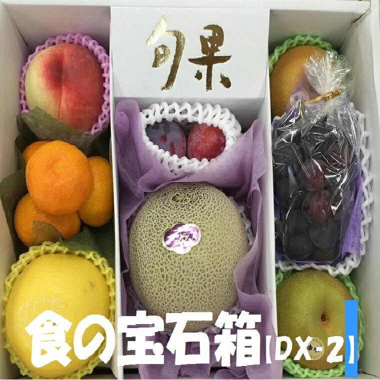 季節の果物詰め合わせ　フル－ツセット　果物ギフト 食の宝石箱 【DX-2】化粧箱メロン 入り 旬の果物 季節のギフト！ 御歳暮 プレゼント 贈り物 出産祝 快気祝 入学祝 就職祝 引越し祝 新築祝 御挨拶 敬老の日 御中元 御年始 御年賀 内祝 御祝 ゴルフ 景品 送料無料のサムネイル