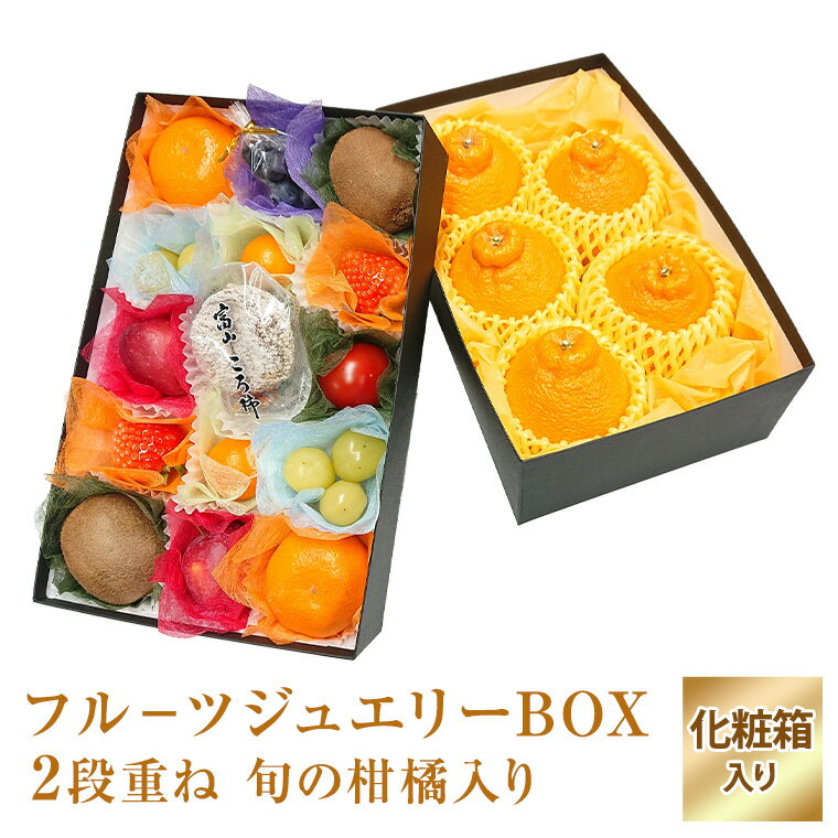 【フルーツ ジュエリーBOX15個　柑橘入り2段重ねセット 】せとか でこぽん あいか 紅マドンナ等 旬柑橘 食の宝石箱 …