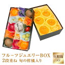 【フルーツ ジュエリーBOX15個　柑橘入り2段重ねセット...