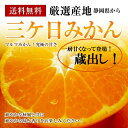 《蔵出し》静岡県産三ケ日みかん【青島マルマみかん】約3K箱無...