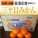 静岡県産三ケ日みかんお試し約1K箱【光センサー選果】