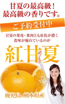 鹿児島・熊本県産【紅甘夏】約3K箱送料無料みかん・あまなつ・甘夏