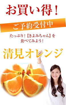 【清見オレンジ】お試し企画約1K箱