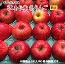 《訳ありリンゴ》B級長野・青森産りんご約5K箱等等赤色りんご⇒送料無料