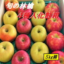 秋冬ギフト 林檎の季節 福袋 【旬のりんご おまかせ4種類 約5kg化粧箱 詰め合わせセット】 御歳暮 お歳暮 ギフト 長野 青森 厳選 おまかせ セット 食べ比べ 詰め合わせ フルーツセット 果物ギフト リンゴ 法事 お供 お祝 お礼 お誕生日 送料無料