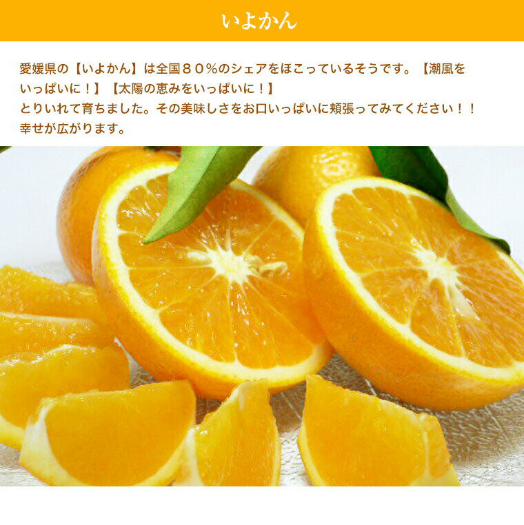 【お買い得】訳あり伊予柑いよかん約5K箱⇒送料無料イヨカンB級1月中旬頃予定
