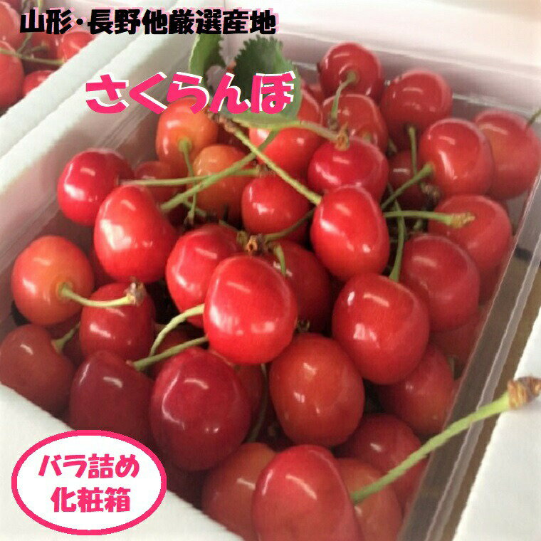 送料無料【さくらんぼ】秀品約1K化粧箱バラ詰め　山形県産【ク−ル便】父の日遅れてごめんね　プレゼント・贈り物のサムネイル