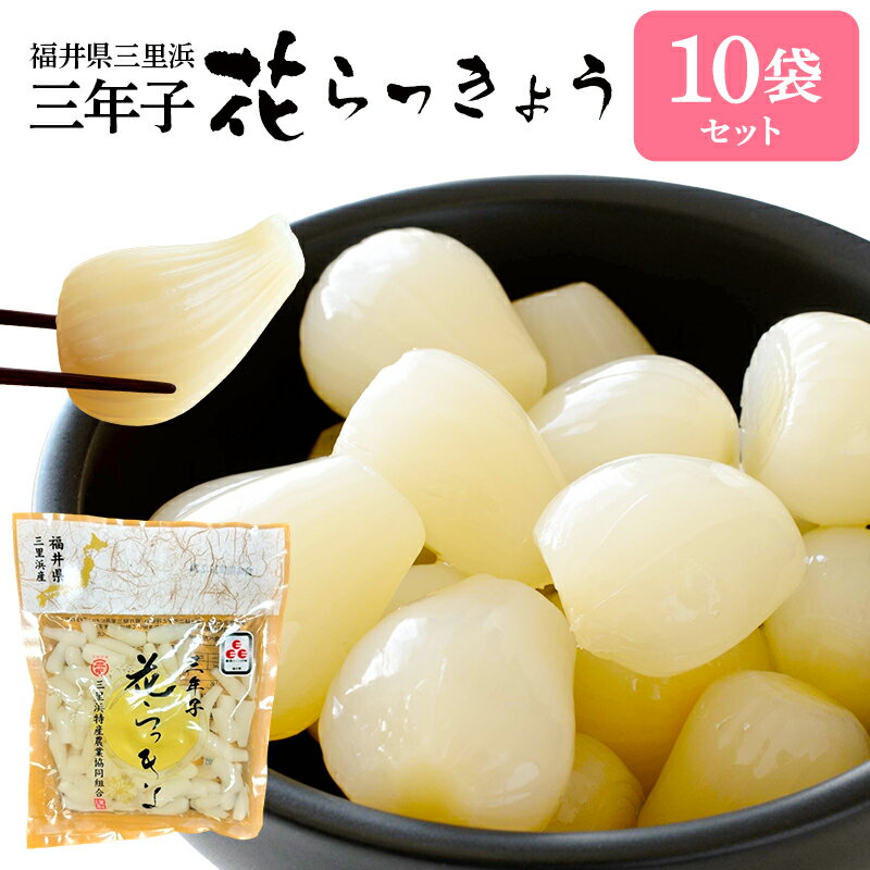 【お歳暮特集】福井特産品セット【お取り寄せグルメ】福井県三里浜「三年子花らっきょう」10袋セットお土産 特産物 お取り寄せ お歳暮 お中元 贈答 漬物 ラッキョウ らっきょう漬 夏バテ解消 着色料・化学調味料・保存料無添加 国産 甘酢漬け ⇒送料無料