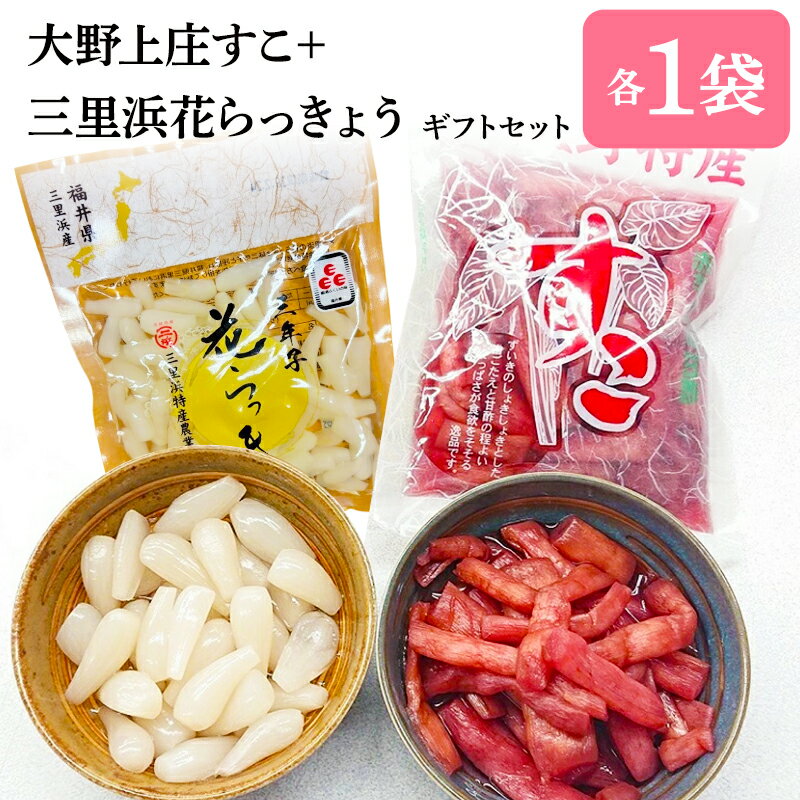 ★お試し企画【福井県オリジナルギフト】福井の郷土の特産品2種セット福井県大野上庄すこ1個＋三里浜「..
