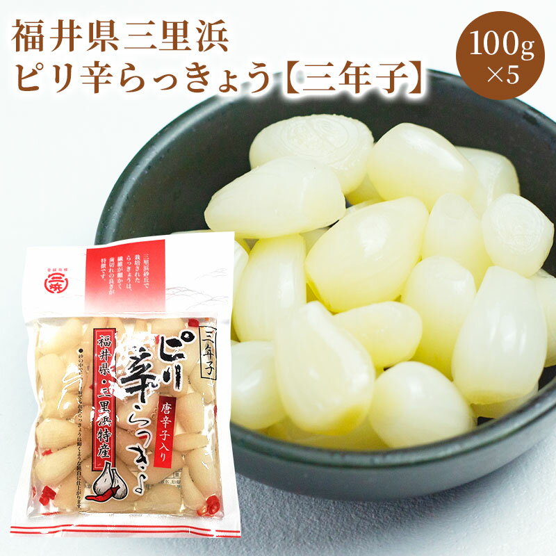 らっきょう 福井県三里浜「三年子花らっきょう」【ピリ辛らっきょう】100g入り×5袋セット ピリ辛 ラッキョウ漬け 漬物　ラッキョウ らっきょう漬 らっきょう甘酢漬 ⇒送料無料