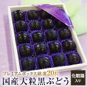 フル-ツギフト【送料無料】国産大粒ぶどう プレミアムボックス 山梨・長野県黒ブドウ【種無し巨峰・ピオ-ネ・長野パ-プル等】 20粒入り化粧箱お中元・お盆・ギフト・お祝い・ 御礼・ 誕生日・プレゼント・ 贈り物・ 結婚祝・ 内祝・手土産等