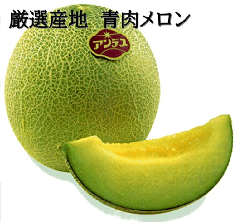 ★熊本・茨城・福井県産アンデスメロン他青肉メロン　Lサイズ以上　2玉化粧箱是非プレゼントに！！母の日・父の日！旬の時期に旬の産地..