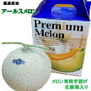 アールスメロン 1玉化粧箱入り《厳選産地》静岡・高知・福井他⇒送料無料 2