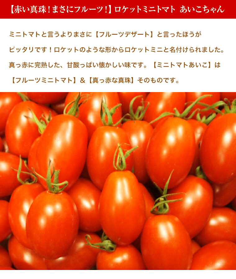 ロケットミニトマト【あいこちゃん】約1K箱11月下旬頃入荷予定です。パ−ティにお弁当に！　送料無料 3
