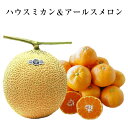 【送料無料】《ハウスミカン&アールスメロン》お奨めのフルーツ...