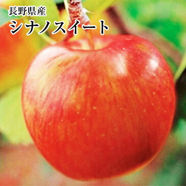 《B級》長野産こだわり林檎【シナノスイ−ト】りんご訳あり約3K入りご家庭用10月中旬より発送予定