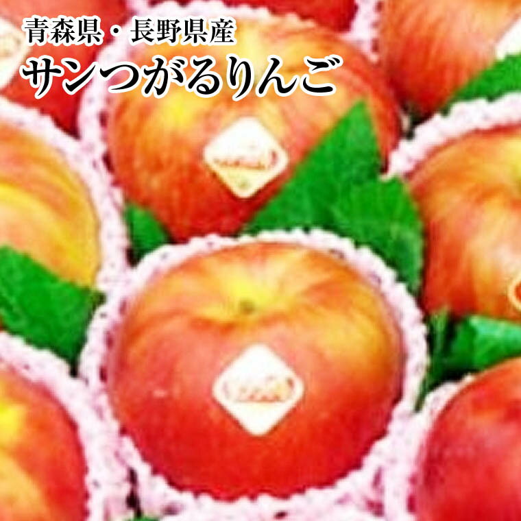 B級りんご【サンつがる】約3K箱青森・長野産　B級グルメご家庭用　送料無料