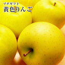 お勧め★プチギフト選りすぐり黄色りんご【トキ】【きおう】【金星】【王林】【シナノゴールド】【名月】等黄色林檎たち5玉手提げ袋入り旬の時期に旬の品種をプレゼントにお勧め!(4)