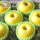 お買い得品!B級訳あり ご家庭用【黄王】きおうリンゴ約3Kg箱 長野・青森産りんご送料無料