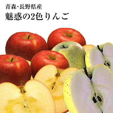 《約5K化粧箱入り》青森・長野産富士リンゴ（サンフジ）（秋映）等赤色＆トキ・シナノゴールド・王林りんご等黄色18〜20玉【お歳暮・贈答用に】