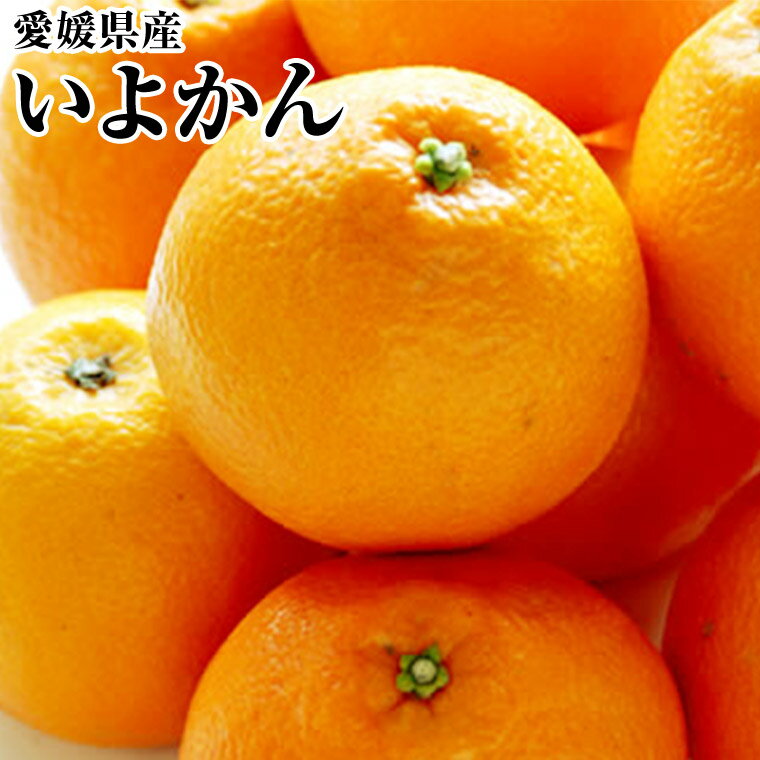 いよかん秀品約10 K箱　愛媛・和歌山県産送料無料　イヨカン・伊予柑・宮内伊予柑・蜜柑・お取り寄せのサムネイル