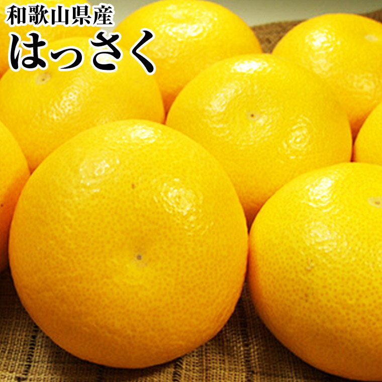 甘酸っぱい【八朔】はっさくみかん お試し約3K 和歌山県産 和歌山 八朔 はっさく 柑橘 果物 フルーツ 送料無料 2月初旬頃からのサムネイル