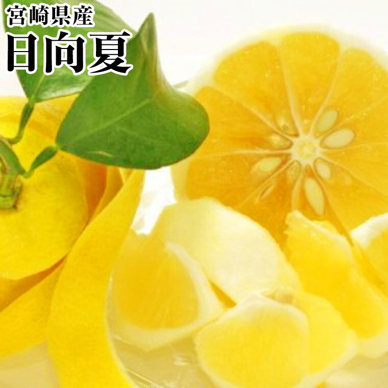 宮崎県産【日向夏】お試し1K箱ひゅうがなつ 宮崎 柑橘 みかん 果物 フルーツ 旬 送料無料 1月中旬頃から発送のサムネイル